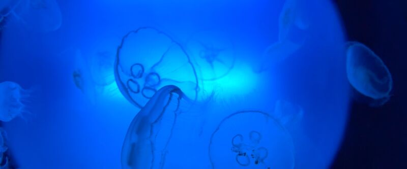 E2f176da 750d 672a a743 338bf9135b79