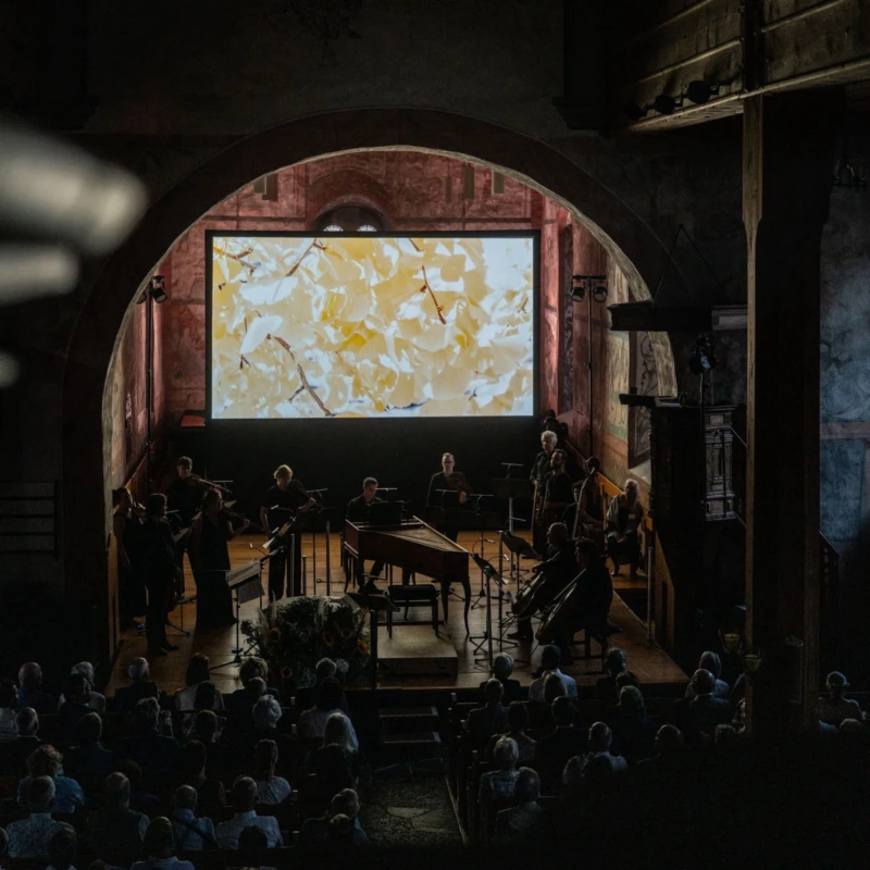 F004fed4 6df9 4735 8df0 96bed89e1acd